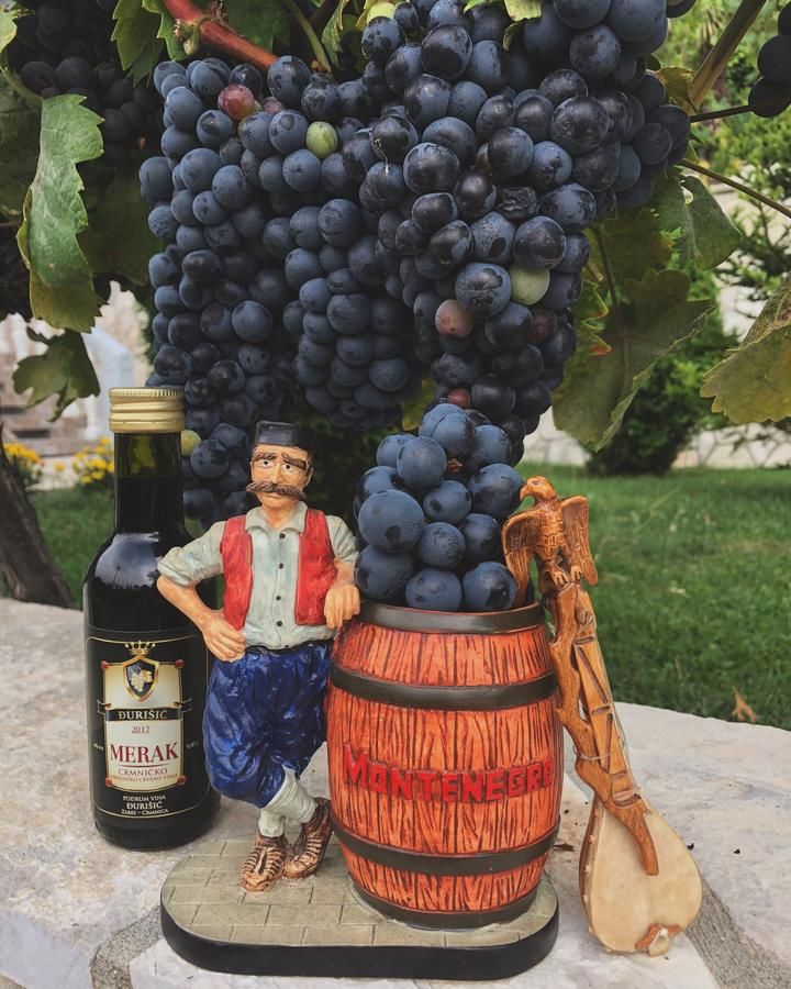 Фермерские дома Eco Villas Merak Вирпазар-15