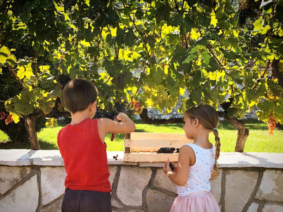 Фермерские дома Eco Villas Merak Вирпазар-19