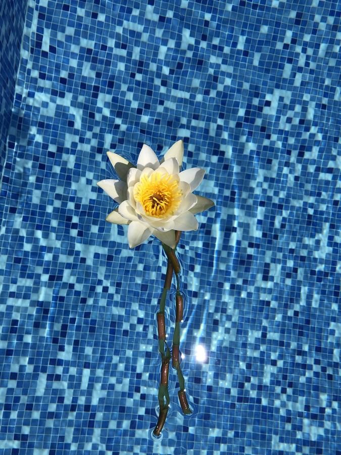 Фермерские дома Eco Villas Merak Вирпазар-48